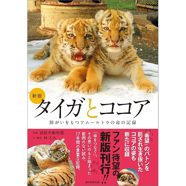 Amazon.co.jp: とらのこ 電子書籍: RIKU: Kindleストア